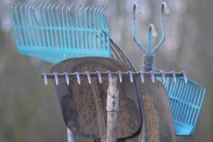 Different Types of Rakes